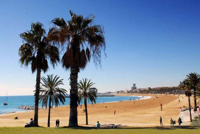 Top 5 Views in Barcelona